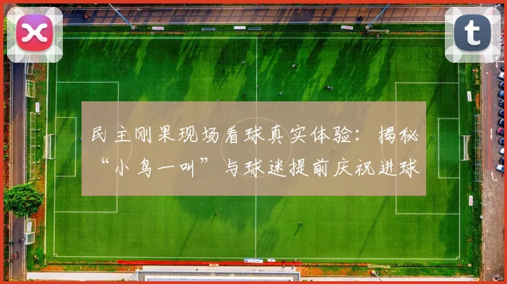 民主刚果现场看球真实体验：揭秘“小鸟一叫”与球迷提前庆祝进球的观赛内幕，附2026年观赛指南