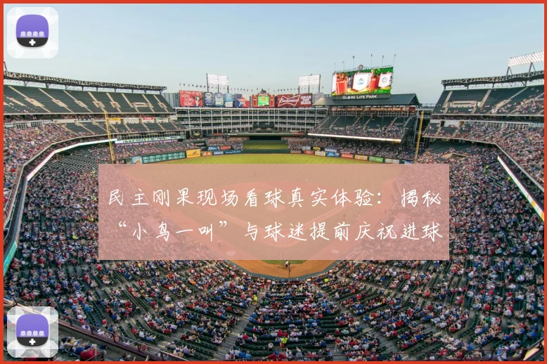 民主刚果现场看球真实体验:揭秘“小鸟一叫”与球迷提前庆祝进球的观赛内幕,附2026年观赛指南